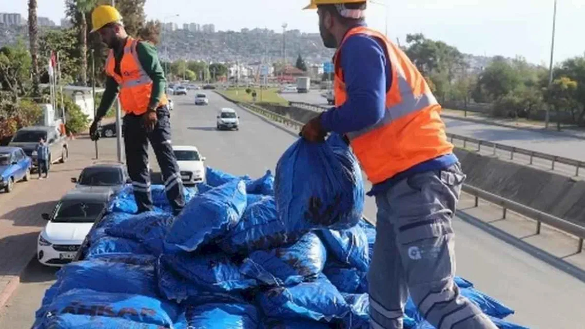 Antalya Büyükşehir’den kömüre sıkı denetim