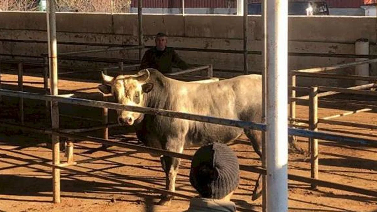 Hayvancılığı şaha kaldıracak tesis