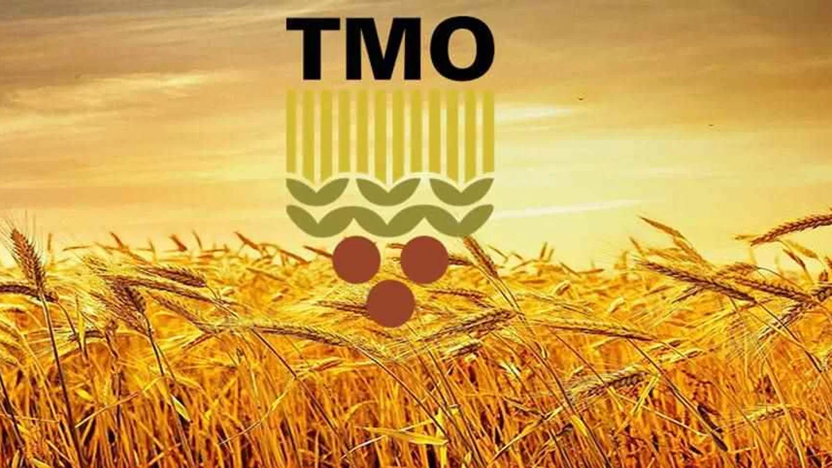 TMO'dan piyasaya müdahale! Şubat'ta 3,9 milyon ton hububat satışta