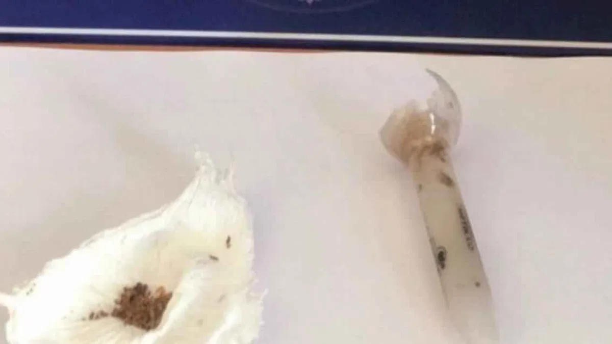 Keşan'da 3 günde uyuşturucudan 8 gözaltı!