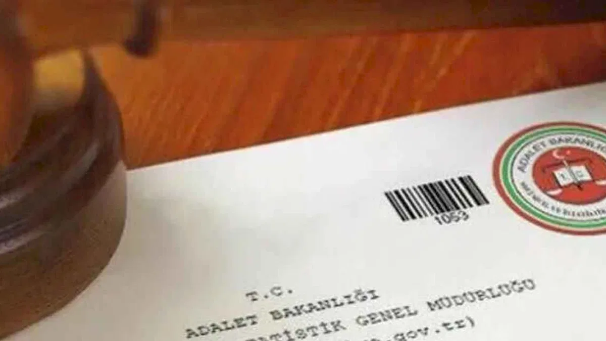 43 dilde adli sicil verilebiliyor... En çok alınan belge İngilizce