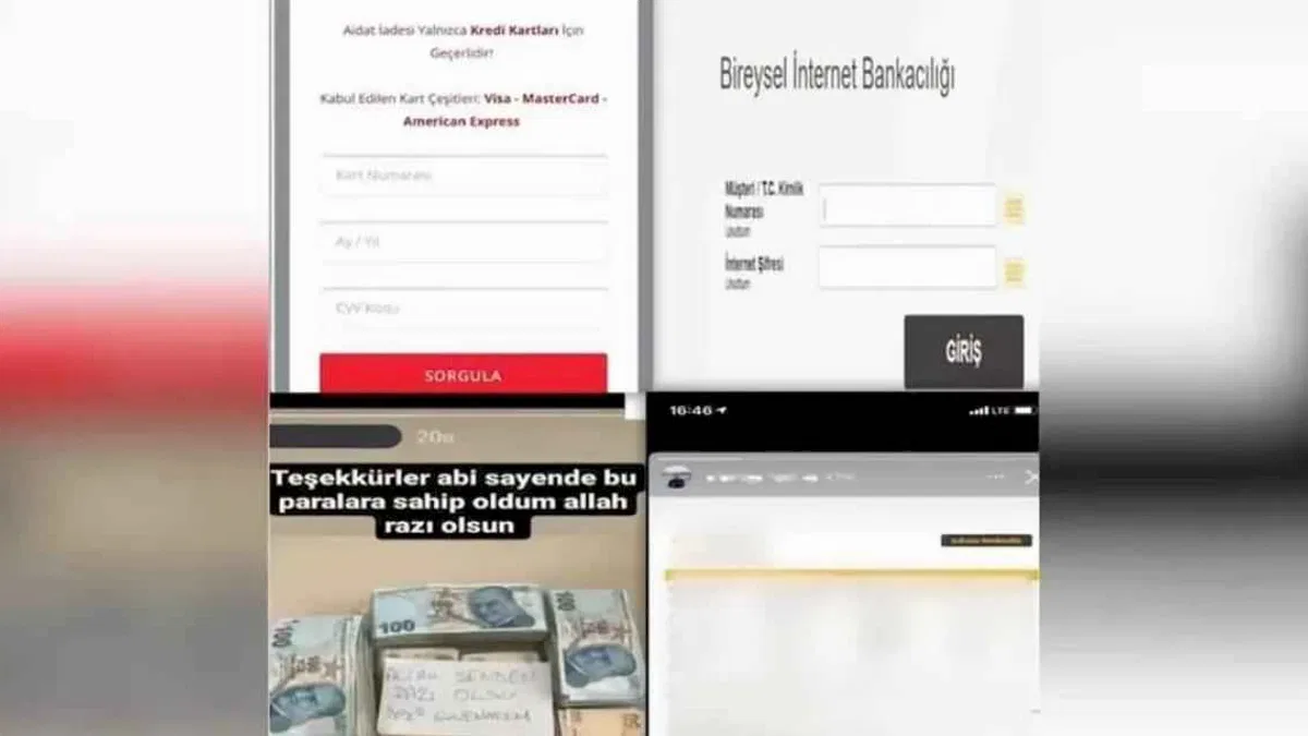 23 ilde 68 şüpheli 'Siberağ'a takıldı!