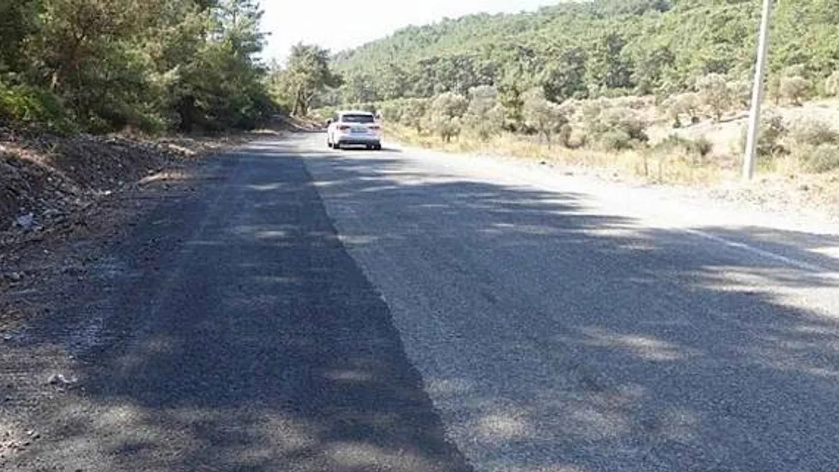 Büyükşehir ilçelerde dört koldan sahada