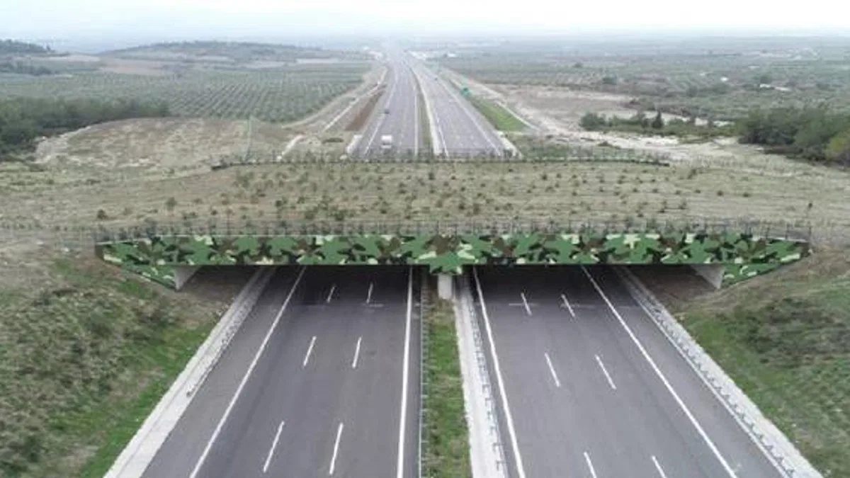 'Ekolojik Köprü'ler yaygınlaşıyor