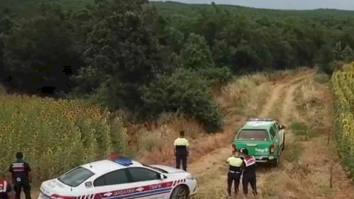 Edirne Keşan'da ormanlara drone ile denetim