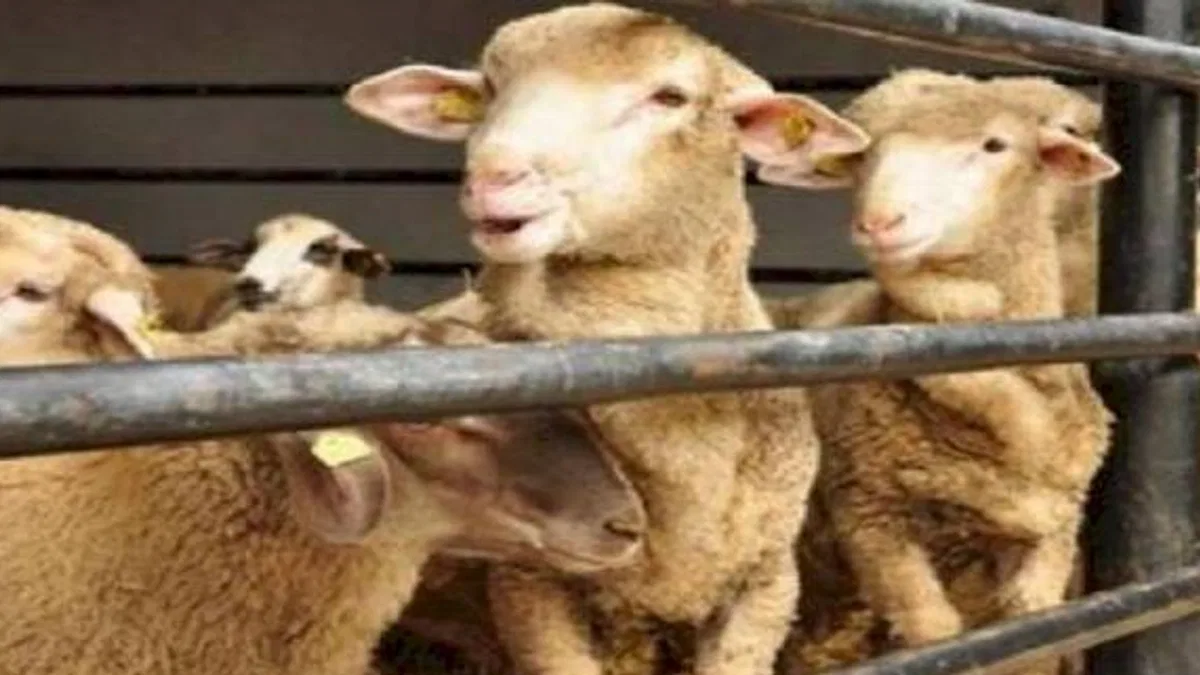Kurban Bayramı kredi aramalarını artırdı