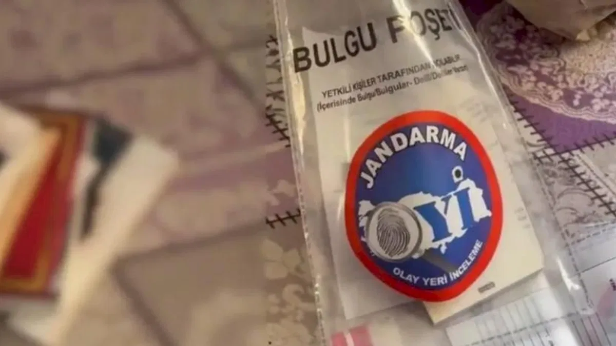 24 ilde DEAŞ operasyonu: 88 şüpheli yakalandı