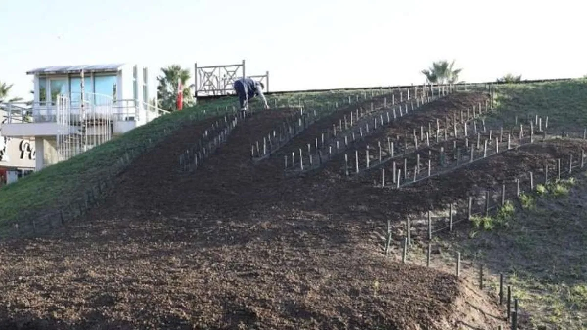 Kocaeli Büyükşehir'den kente estetik dokunuşlar