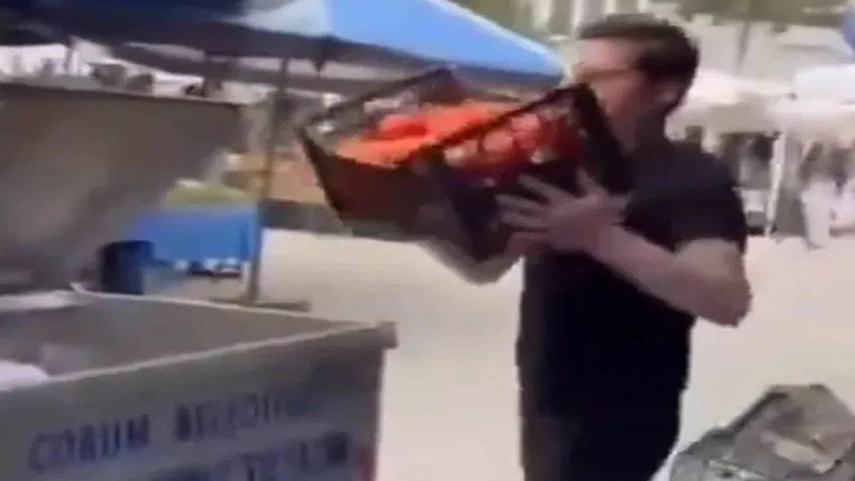 Kasalarca domatesler çöpe döküldü! Cezasız kalmadı!