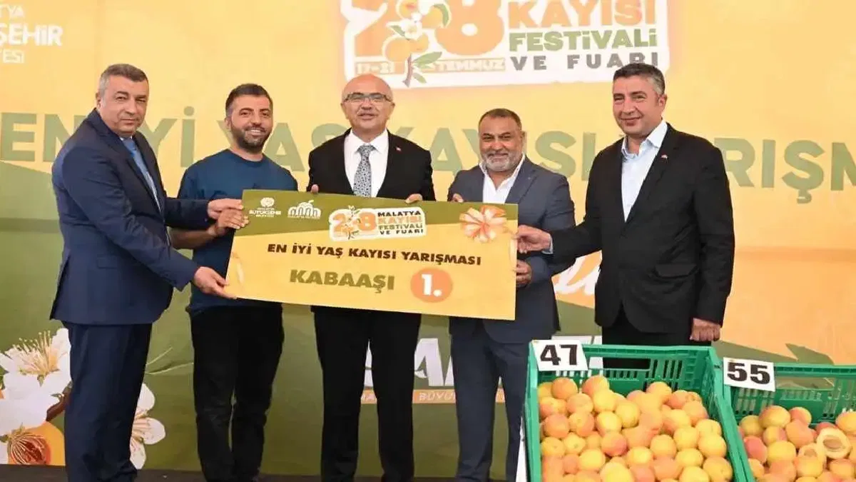 Malatya'da kayısılar yarıştı