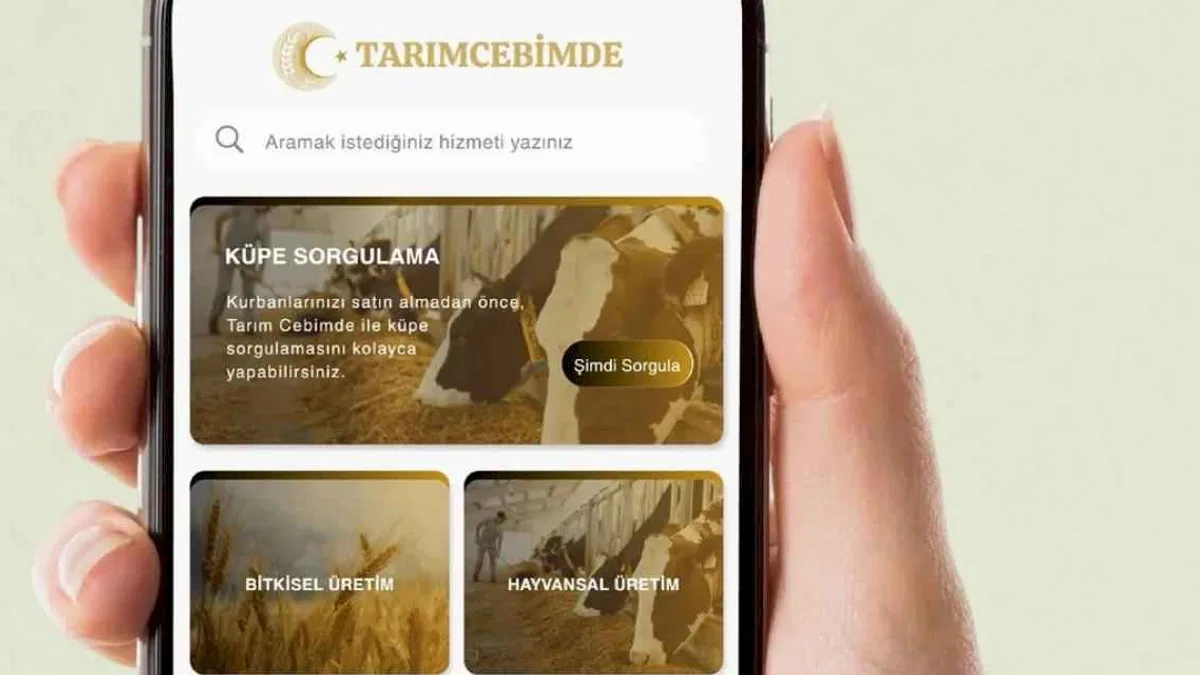 Kurbanlık seçimi 'Tarım Cebimde' ile daha güvenli