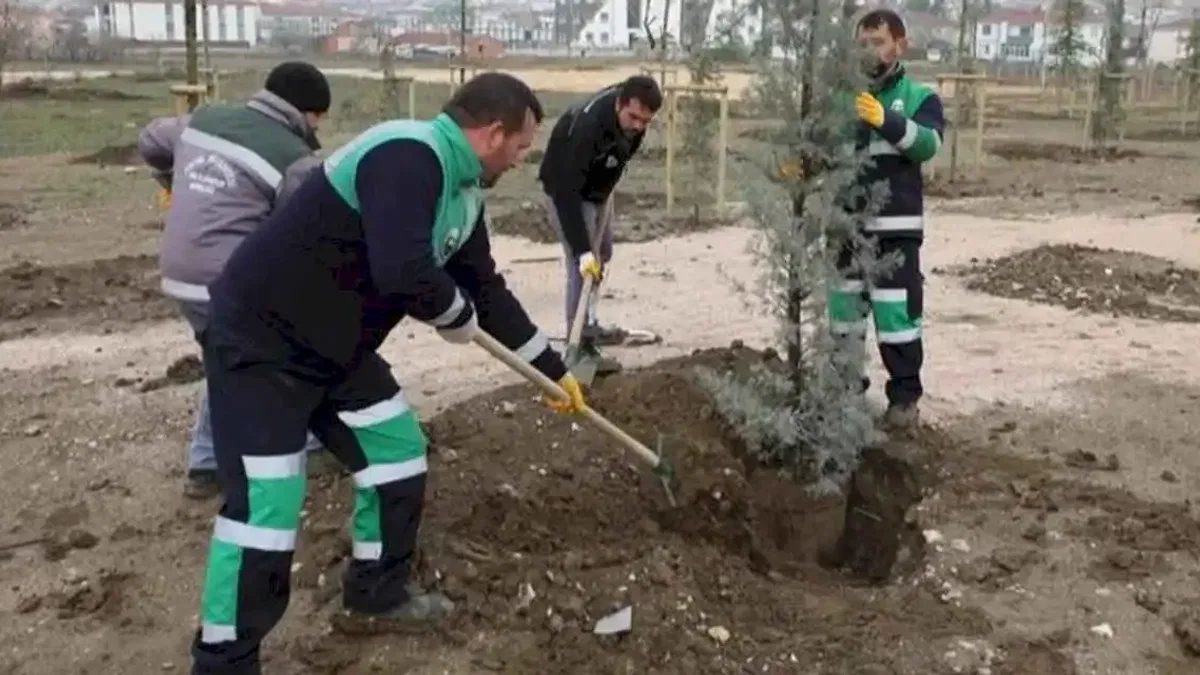 Bursa İnegöl'de 167 fidan toprakla buluştu