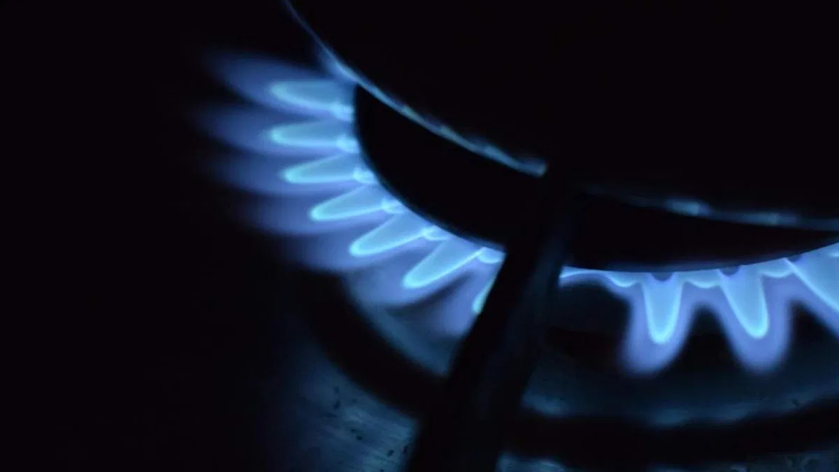 Bulgaristan'da hükümet doğal gaz krizine çare arıyor