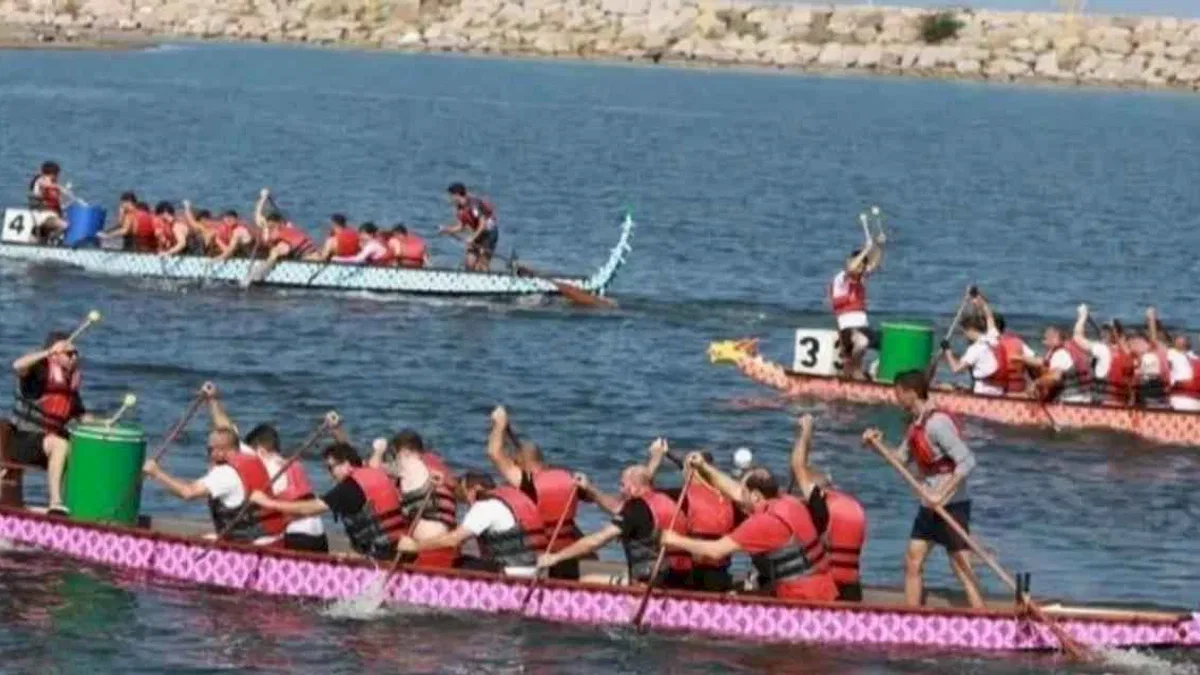 Ordu'da büyük heyecan! Dragon Bot Yarışları 2’nci kez Ordu’da