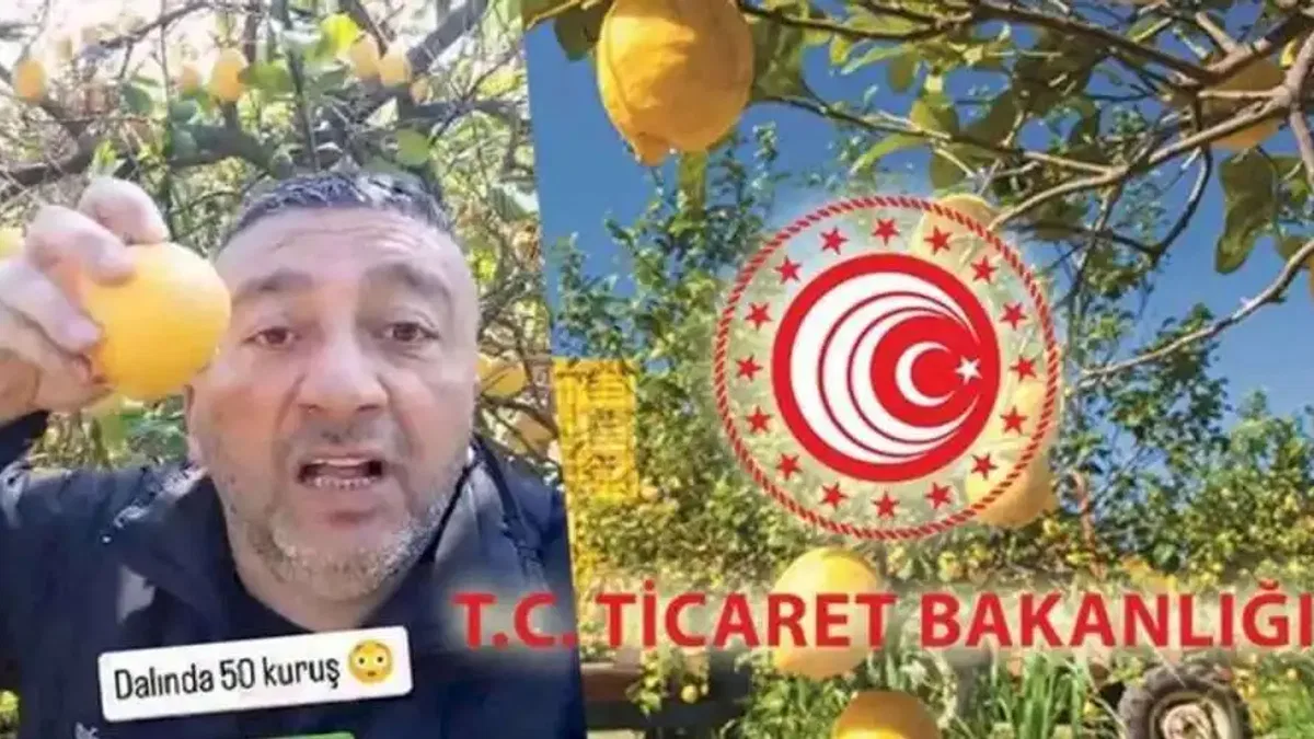 Sözde çiftçinin yalanını Bakanlık söndürdü!