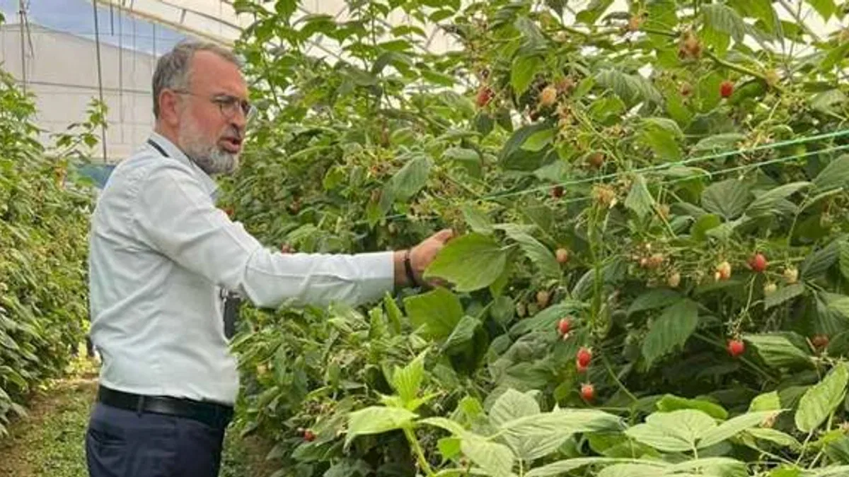 Bursa Kestel ve Gürsu’dan Sırbistan’a tarım çıkarması
