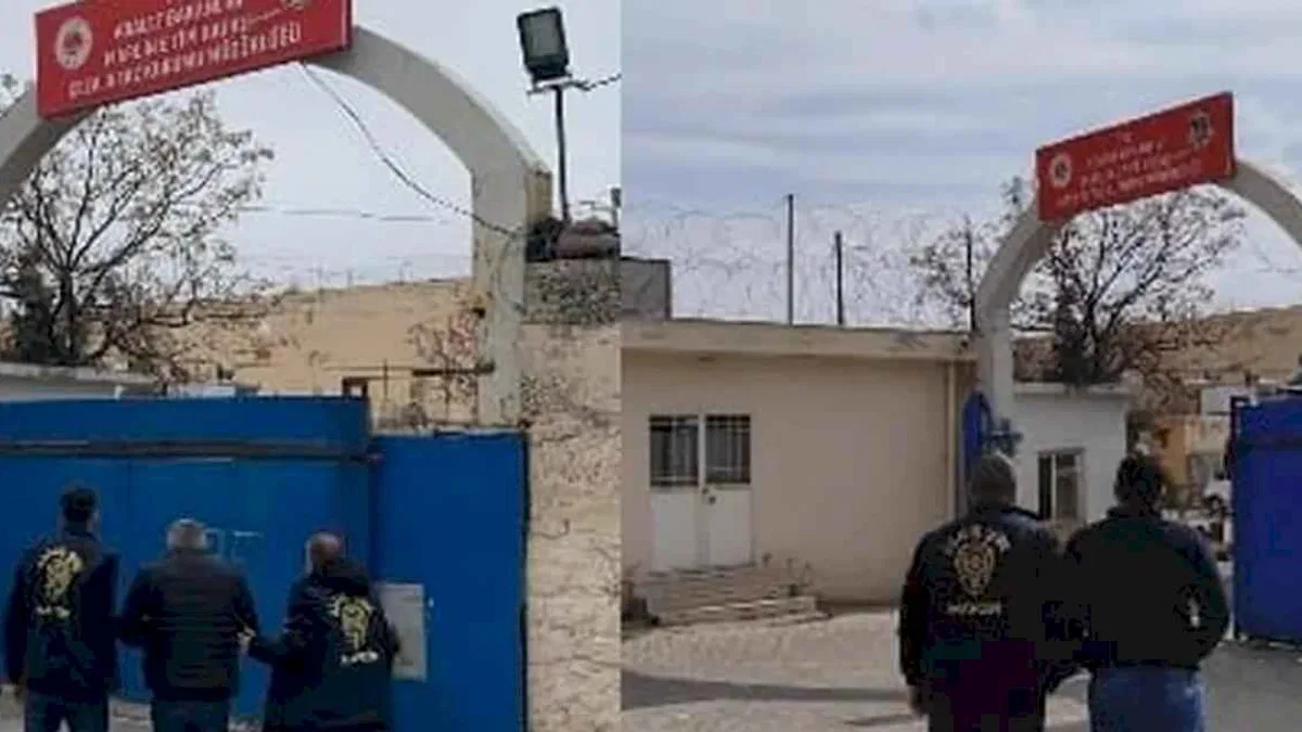 Mardin Polisi hırsızlara göz açtırmadı: 40 şahıs yakalandı
