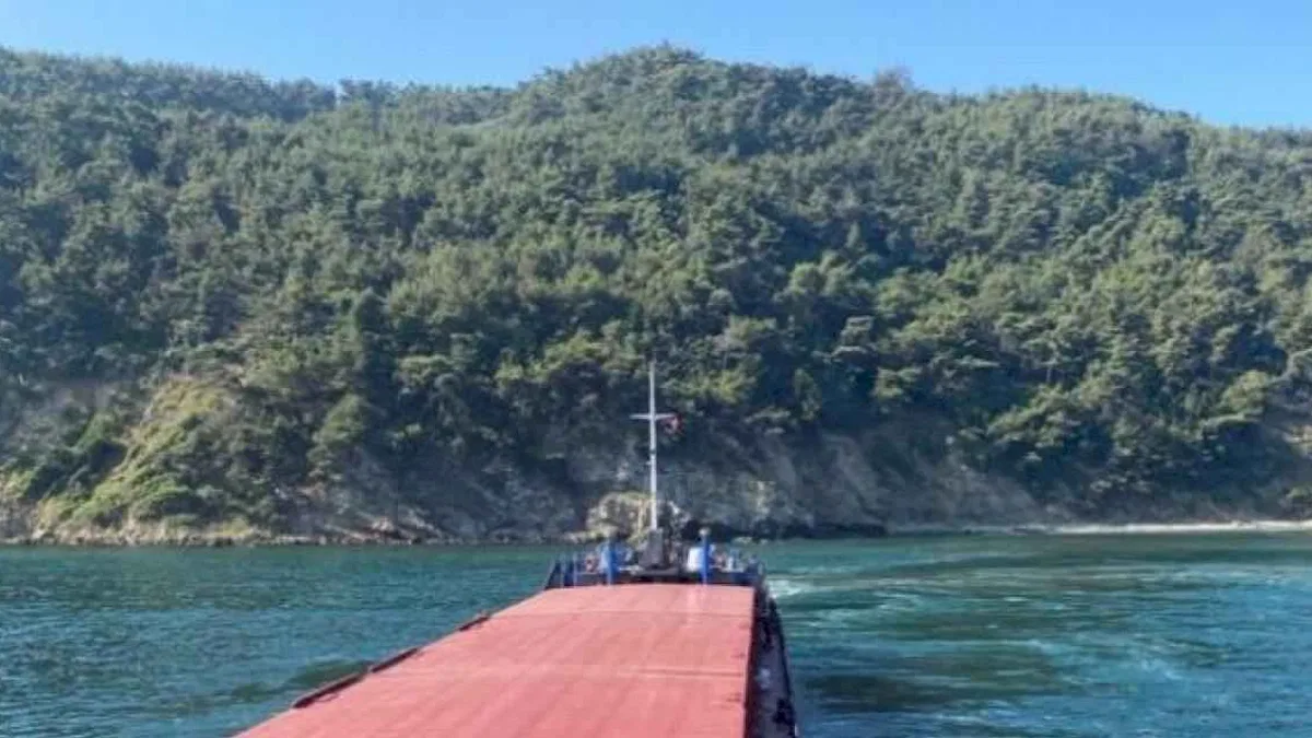 Mudanya'da karaya oturan gemi kurtarıldı