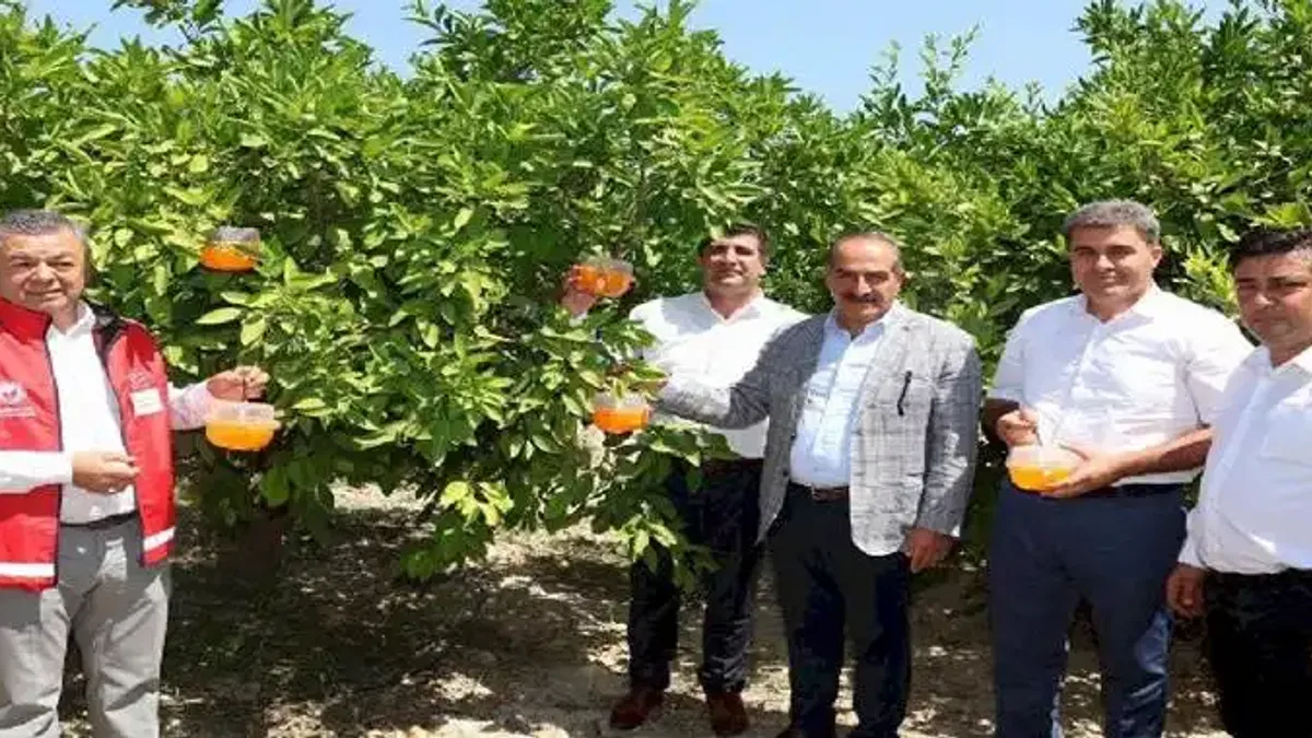 Narenciyede kalıntı sorunu kalmayacak