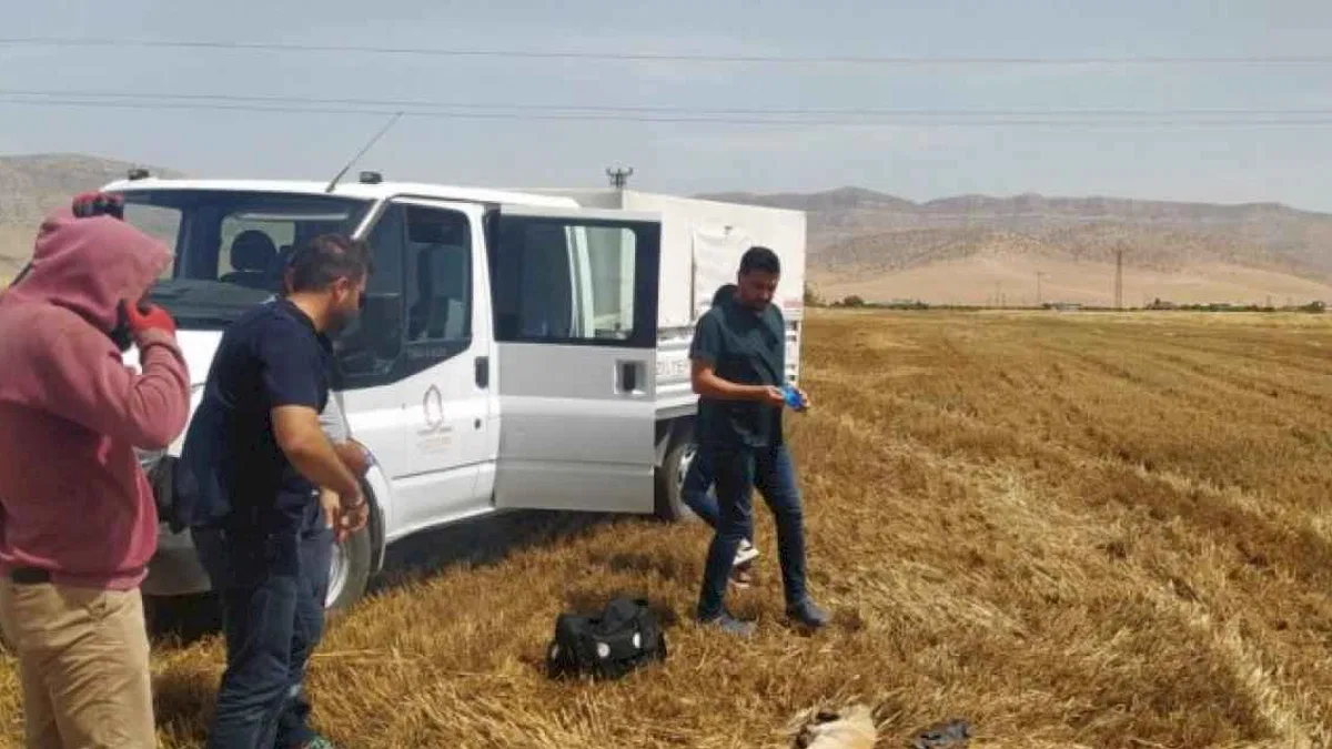 Biçerdöverin altında kalan köpek hayatını kaybetti