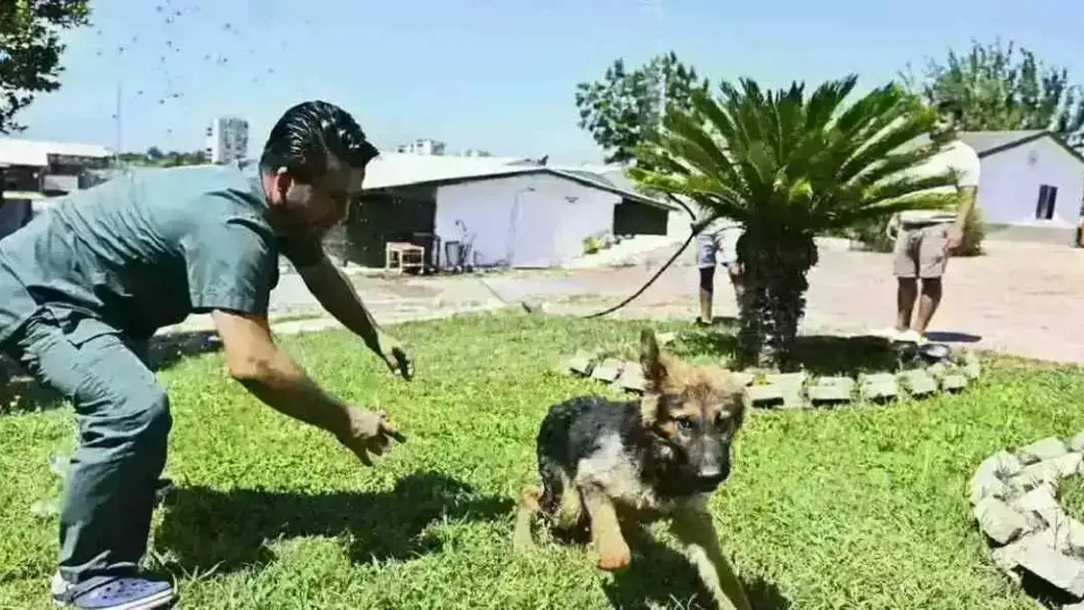 Antalya Muratpaşa’dan patili dostlara serin dokunuş