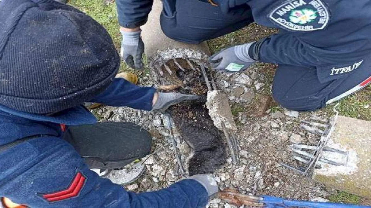 Manisa İtfaiyesi'nden hayat kurtaran müdahaleler
