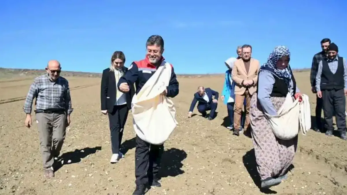 Bakan Yumaklı Taşköprü'de... Önlüğü giydi, sarımsak ekti