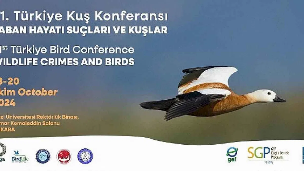 21. Türkiye Kuş Konferansı 18-20 Ekim 2024'te Yaban Hayatı Suçları ve Kuşlar temasıyla Ankara'da.