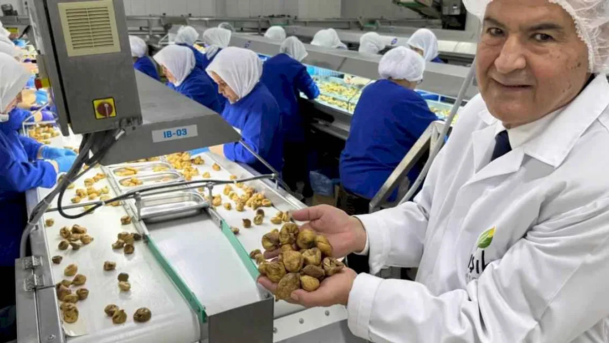 Kuru meyve sektöründe 12 şampiyonun 11’i Egeli