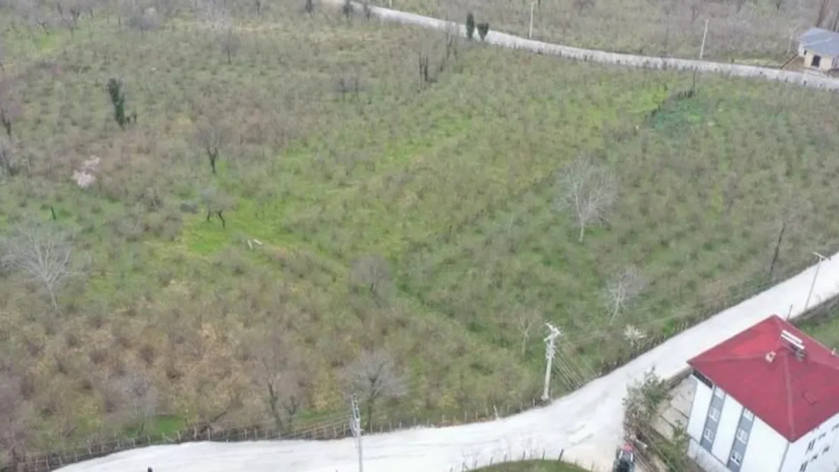 Ordu Büyükşehir’den Kumru’da yol seferberliği