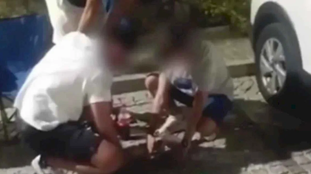 Mudanya Zabıtası çevreyi kirleten gençlere çöp toplattı, ceza kesti!