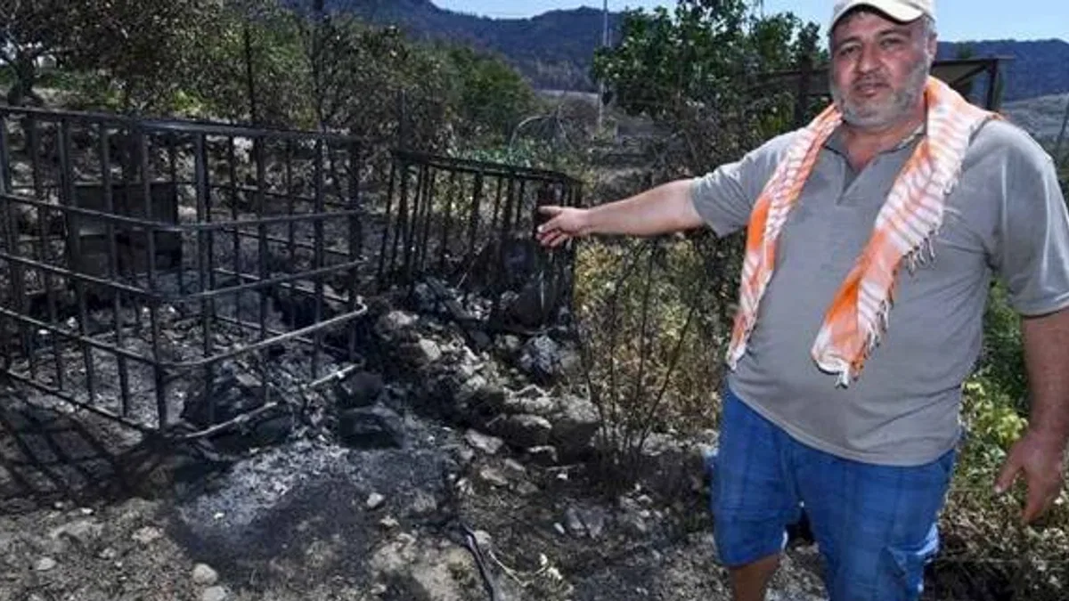 Yangından kurtarılan bahçelerde umut yeşerdi