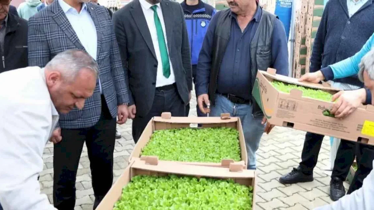 Kocaeli’de Gebzeli çiftçilere 500 bin fide dağıtıldı