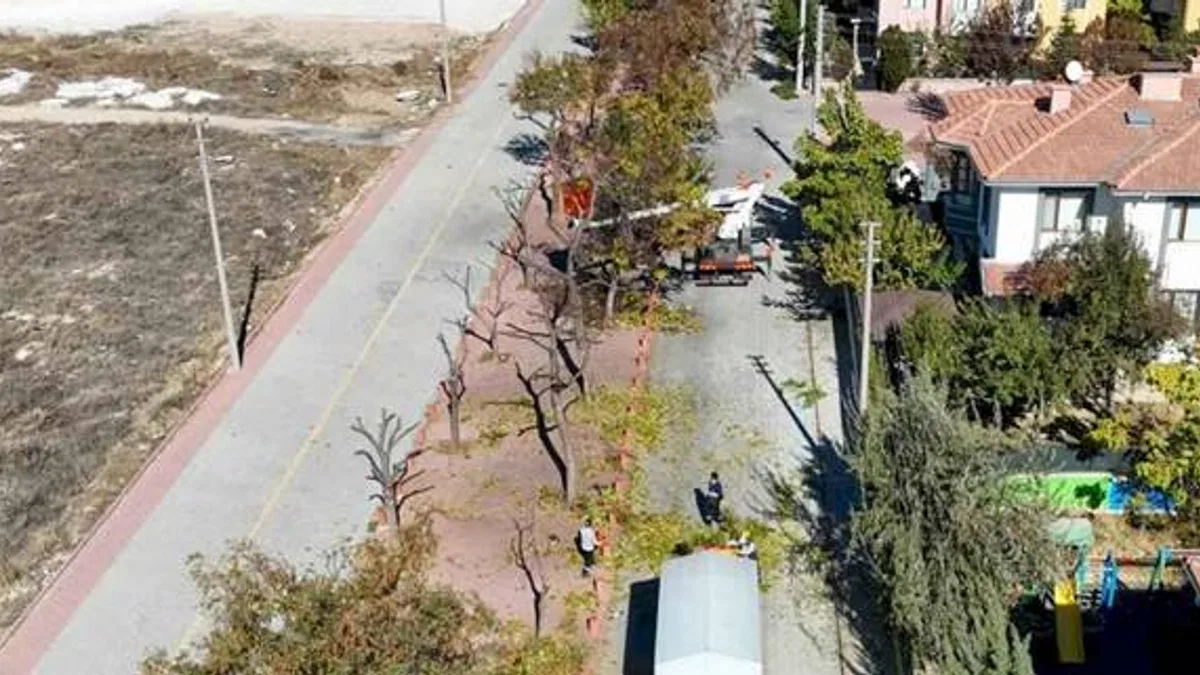 Konya Selçuklu'da ağaçlar budanıyor... Atıklar kompost gübreye dönüştürülüyor