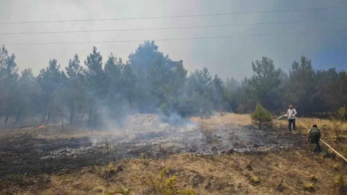 Bursa Büyükorhan'da yangın kabusu