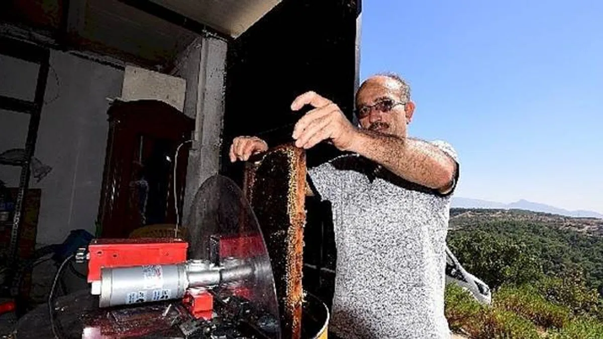 Bornovalı Arıcılarda Hasat Mutluluğu