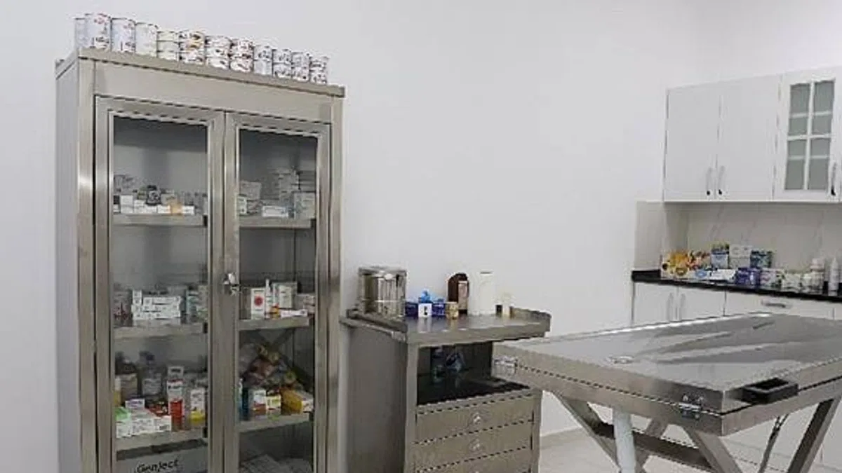 Şile Belediyesi'nden Sokak Hayvanları için Özel Operasyon Merkezi