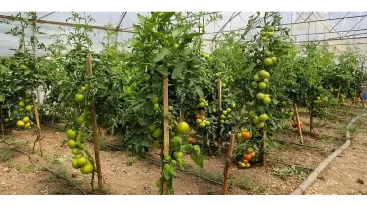 Eskişehir’de Çiftçi Destekleme ve Eğitim Merkezi kuruluyor