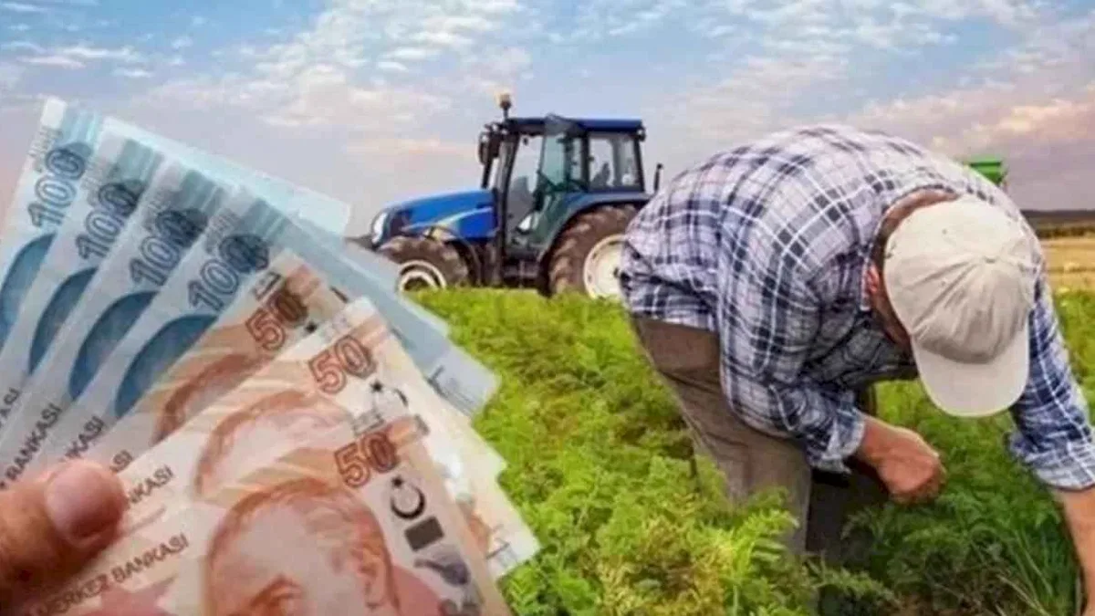 Çiftçilere 826 milyon TL'lik destek hesaplarda