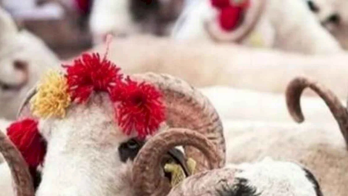 Uzmanı uyardı! Kurban etlerini böyle saklayın