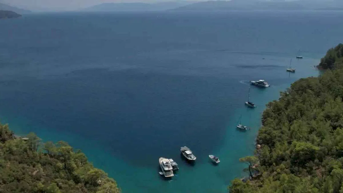 Muğla’ya 220 davalı koruma