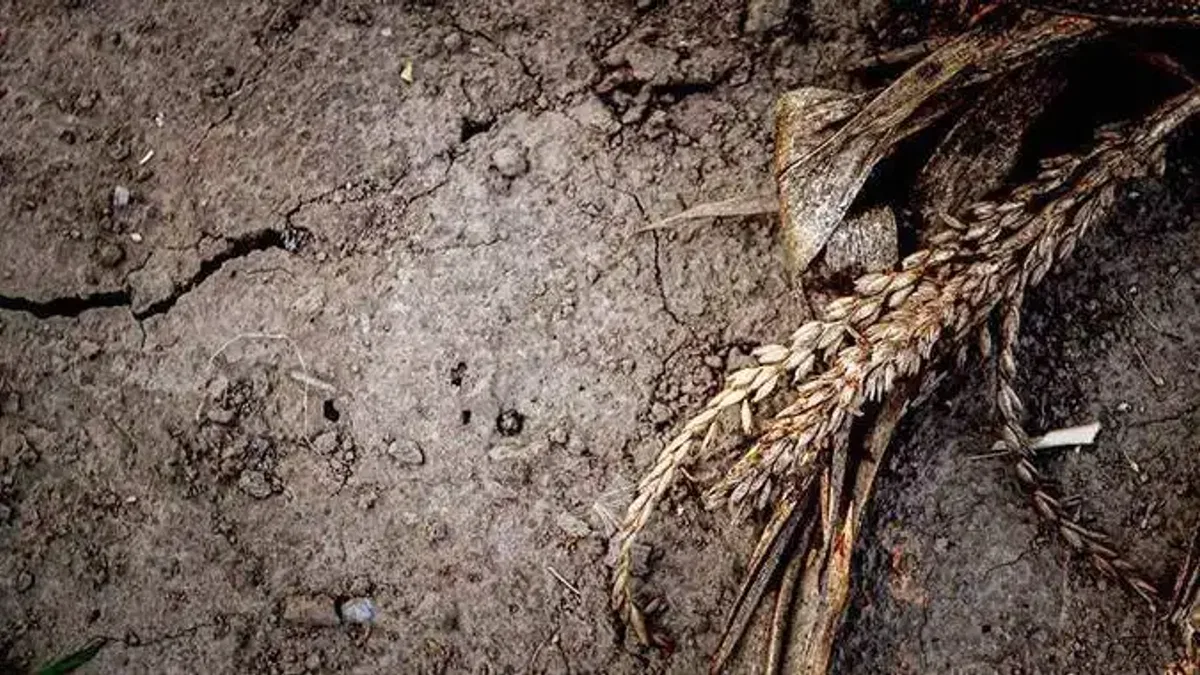 İklim krizi ve ekonomik eşitsizliğe karşı kampanyaya 13 binin üzerinde çocuk katıldı