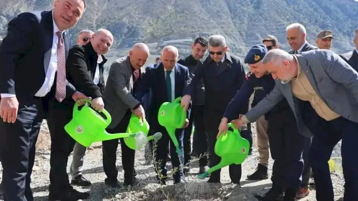Artvin’de Butko zeytini üretimi yaygınlaşıyor