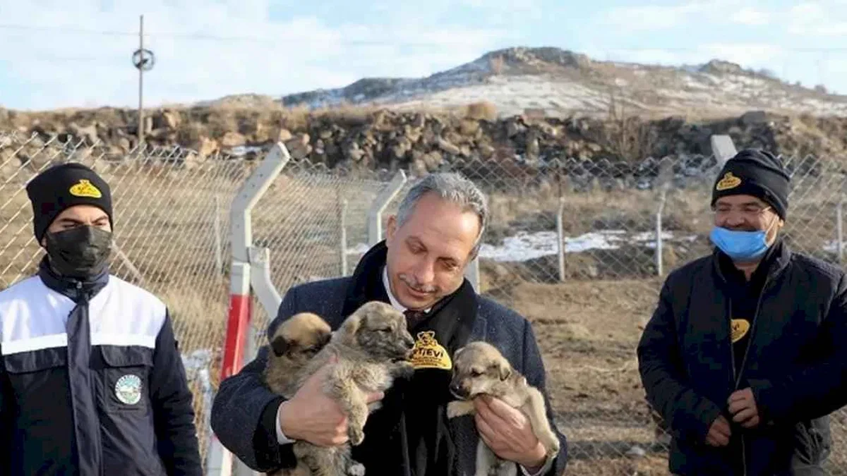 Kayseri Talas'ta patili dostlara büyük destek
