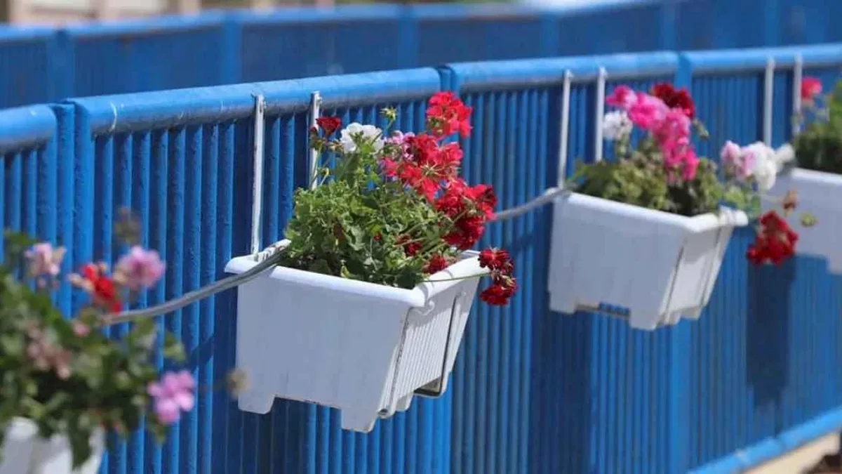 İzmir’de Güzelbahçe çiçek açtı
