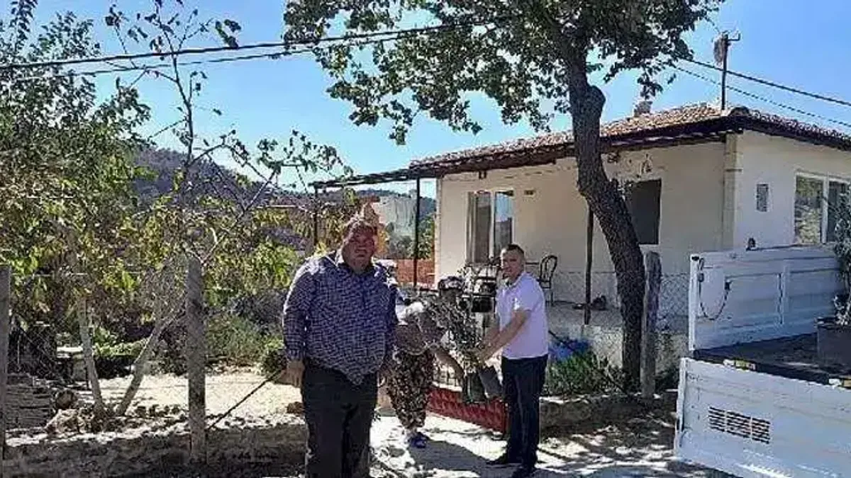 Edremit'ten Çanakkale'ye 250 Zeytin Fidanı