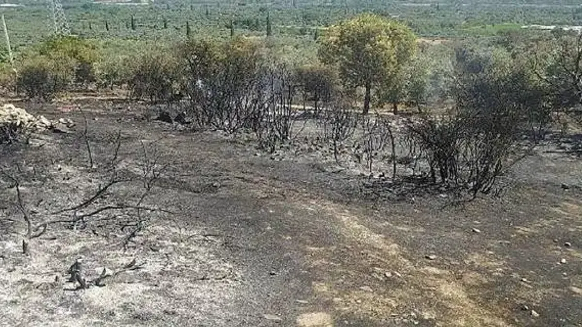 Aydın Büyükşehir Belediyesi İtfaiyesi yangına hızla müdahale etti