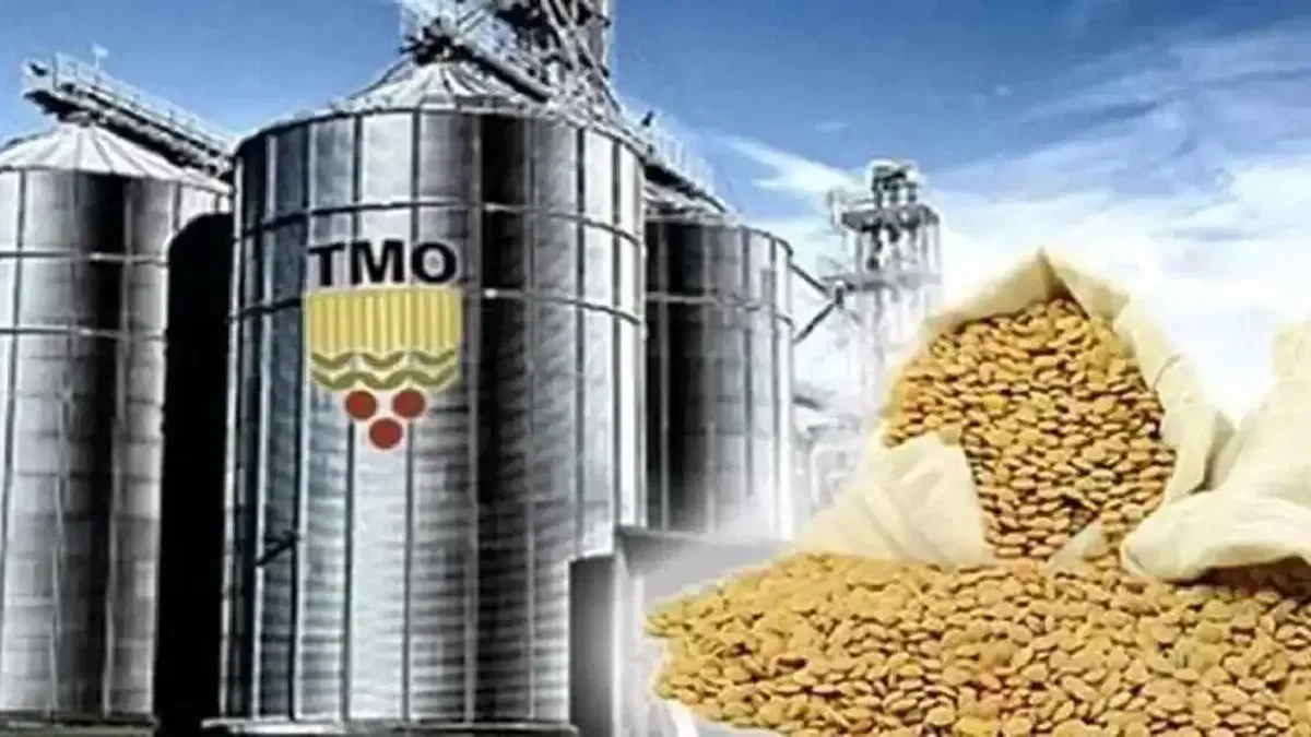 TMO’dan üreticilere 6,3 milyar liralık ödeme