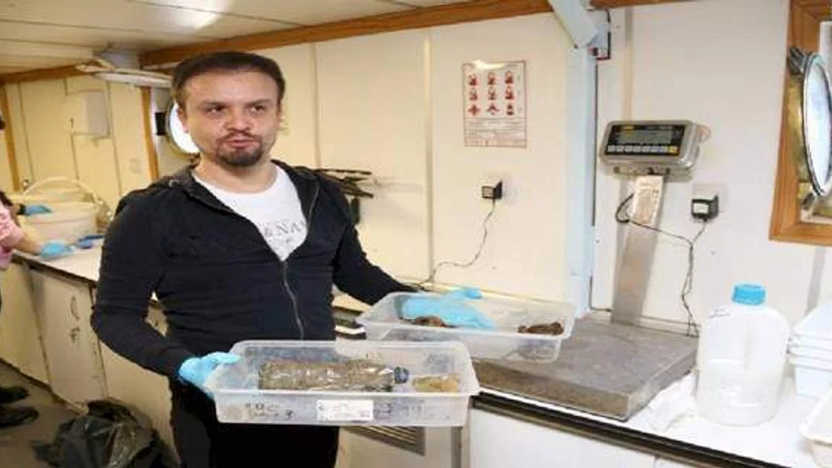 İzmit Körfezi'nde deniz yaşamı kayıt altında