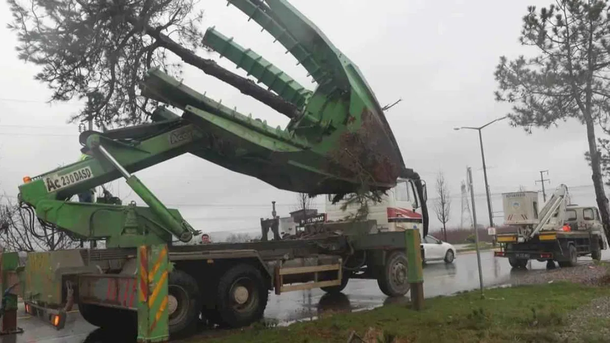 Sakarya Büyükşehir'den 'yeşil' hassasiyet